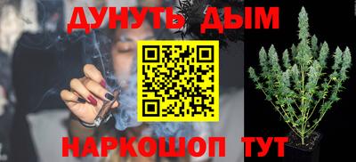 крисы Краснознаменск