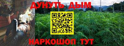 крисы Краснознаменск